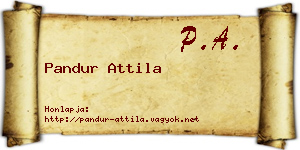 Pandur Attila névjegykártya
